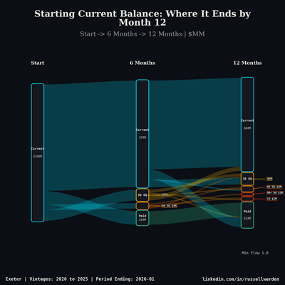Balance Flow Sankey — 12-Month Horizon